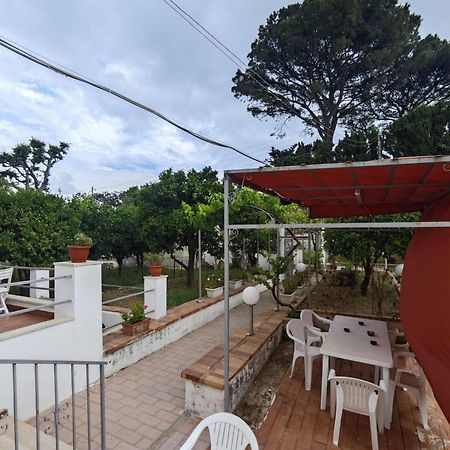Casa Ferraro Hotel Marina Grande  Buitenkant foto